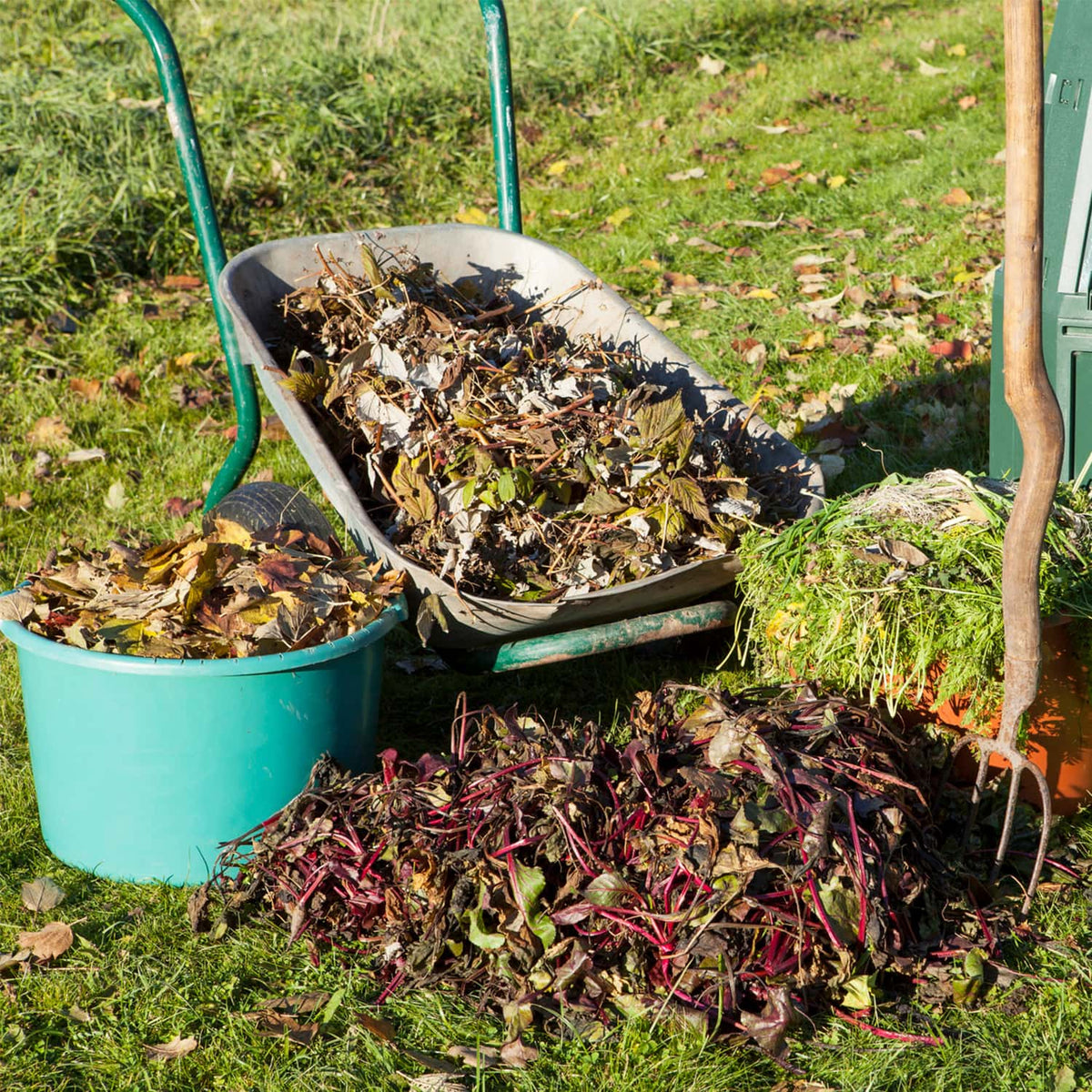 10 Organic Materials That Can Make Great Compost – Planet Protein