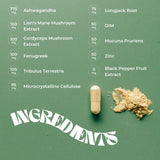 Brain Booster - Nootropic Mushroom Capsules