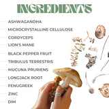 Brain Booster - Nootropic Mushroom Capsules