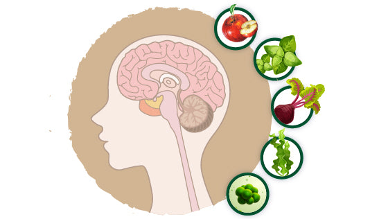 Top 5 Foods to Decalcify your Pineal Gland