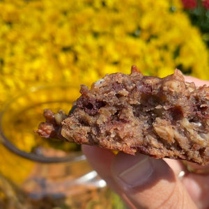 CHOCOLATE CHERRY PROTEIN COOKIES