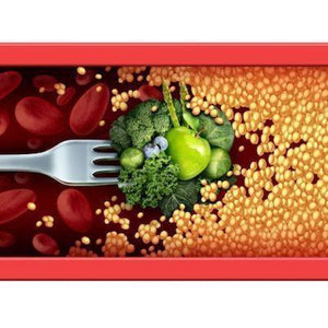 3 Basic Plant Based Foods that Help Lower Cholesterol