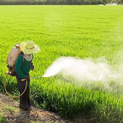 3 Harmful Effects of Pesticides. Is it worth it?