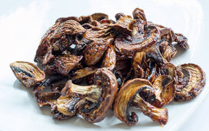 Mushrooms = Sustainable Future: Replacements for Meat, Plastic, Leather, & More... Holy Shiitake!