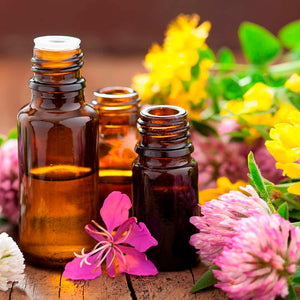 What are Essential Oils? How do they work?