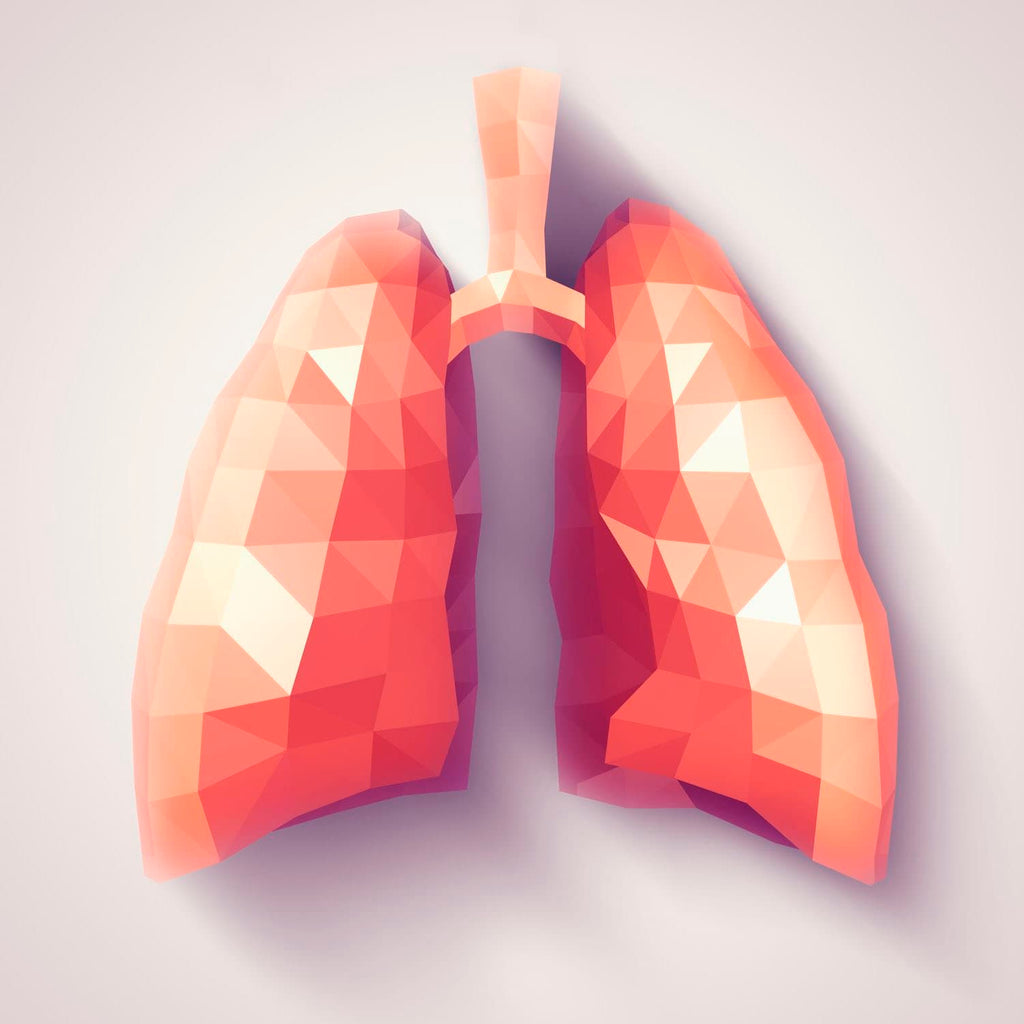 Respiratory Health: 3 Ways to Promote Healthy Lungs