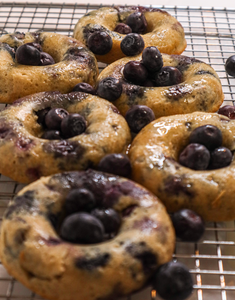 Blueberry Protein Doughnuts