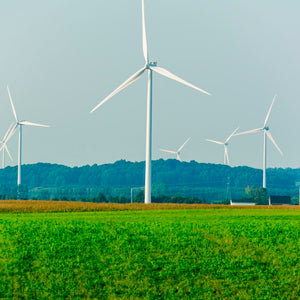 The Best Types of Renewable Energy Sources