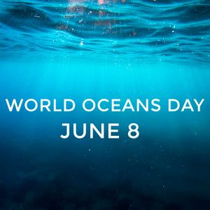 World Oceans Day: The Top 3 Threats Facing our Oceans