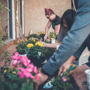 The Health and Cost Benefits of Growing Your Own Food