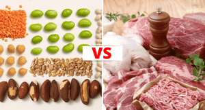 Animal Protein vs. Plant Protein: Which is More Sustainable for Your Health?