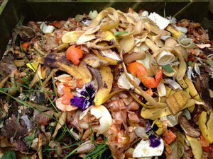 Food Waste 101