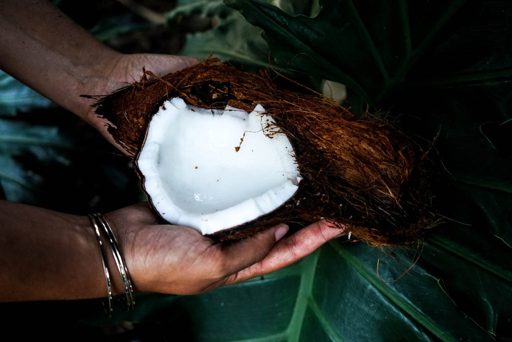 The Benefits of Coconut + Why it’s in Planet Protein