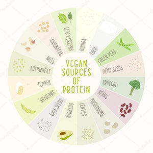 Where Does a Vegan Get Their Protein?